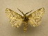  ( - 10-CRBS-398)  @14 [ ] Unspecified (default): All Rights Reserved  Unspecified Unspecified