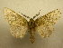  ( - 10-CRBS-401)  @14 [ ] Unspecified (default): All Rights Reserved  Unspecified Unspecified