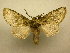  ( - 10-CRBS-402)  @14 [ ] Unspecified (default): All Rights Reserved  Unspecified Unspecified