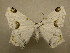  ( - 10-CRBS-414)  @13 [ ] Unspecified (default): All Rights Reserved  Unspecified Unspecified