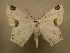  ( - 10-CRBS-415)  @13 [ ] Unspecified (default): All Rights Reserved  Unspecified Unspecified