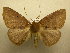  ( - 10-CRBS-420)  @14 [ ] Unspecified (default): All Rights Reserved  Unspecified Unspecified