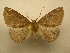  (Herbita Sullivan5624 - 10-CRBS-421)  @14 [ ] Unspecified (default): All Rights Reserved  Unspecified Unspecified