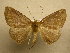  ( - 10-CRBS-423)  @14 [ ] Unspecified (default): All Rights Reserved  Unspecified Unspecified