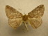  ( - 10-CRBS-424)  @13 [ ] Unspecified (default): All Rights Reserved  Unspecified Unspecified