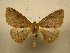  ( - 10-CRBS-425)  @13 [ ] Unspecified (default): All Rights Reserved  Unspecified Unspecified
