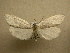  ( - 10-CRBS-442)  @14 [ ] Unspecified (default): All Rights Reserved  Unspecified Unspecified