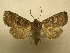  ( - 10-CRBS-451)  @14 [ ] Unspecified (default): All Rights Reserved  Unspecified Unspecified