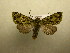  ( - 10-CRBS-458)  @14 [ ] Unspecified (default): All Rights Reserved  Unspecified Unspecified