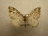  ( - 10-CRBS-491)  @14 [ ] Unspecified (default): All Rights Reserved  Unspecified Unspecified