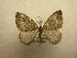  ( - 10-CRBS-492)  @14 [ ] Unspecified (default): All Rights Reserved  Unspecified Unspecified