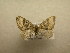  ( - 10-CRBS-493)  @13 [ ] Unspecified (default): All Rights Reserved  Unspecified Unspecified