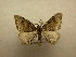  ( - 10-CRBS-494)  @13 [ ] Unspecified (default): All Rights Reserved  Unspecified Unspecified