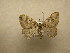  ( - 10-CRBS-495)  @13 [ ] Unspecified (default): All Rights Reserved  Unspecified Unspecified