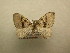  ( - 10-CRBS-499)  @14 [ ] Unspecified (default): All Rights Reserved  Unspecified Unspecified