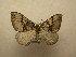  ( - 10-CRBS-500)  @14 [ ] Unspecified (default): All Rights Reserved  Unspecified Unspecified
