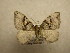  ( - 10-CRBS-501)  @14 [ ] Unspecified (default): All Rights Reserved  Unspecified Unspecified