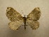  ( - 10-CRBS-502)  @12 [ ] Unspecified (default): All Rights Reserved  Unspecified Unspecified