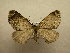  ( - 10-CRBS-503)  @13 [ ] Unspecified (default): All Rights Reserved  Unspecified Unspecified