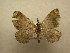  ( - 10-CRBS-504)  @12 [ ] Unspecified (default): All Rights Reserved  Unspecified Unspecified