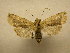  ( - 10-CRBS-534)  @13 [ ] No Rights Reserved (2010) Unspecified Research Collection of J. B. Sullivan