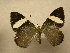  ( - 10-CRBS-554)  @13 [ ] No Rights Reserved (2010) Unspecified Research Collection of J. B. Sullivan