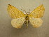  ( - 10-CRBS-555)  @14 [ ] No Rights Reserved (2010) Unspecified Research Collection of J. B. Sullivan
