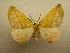  ( - 10-CRBS-556)  @14 [ ] No Rights Reserved (2010) Unspecified Research Collection of J. B. Sullivan