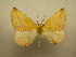  ( - 10-CRBS-557)  @14 [ ] No Rights Reserved (2010) Unspecified Research Collection of J. B. Sullivan