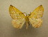  ( - 10-CRBS-558)  @14 [ ] No Rights Reserved (2010) Unspecified Research Collection of J. B. Sullivan