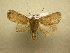  ( - 10-CRBS-582)  @14 [ ] No Rights Reserved (2010) Unspecified Research Collection of J. B. Sullivan