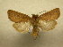  ( - 10-CRBS-583)  @14 [ ] No Rights Reserved (2010) Unspecified Research Collection of J. B. Sullivan