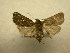  ( - 10-CRBS-584)  @12 [ ] No Rights Reserved (2010) Unspecified Research Collection of J. B. Sullivan