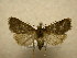  ( - 10-CRBS-589)  @14 [ ] No Rights Reserved (2010) Unspecified Research Collection of J. B. Sullivan
