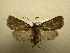  ( - 10-CRBS-592)  @14 [ ] No Rights Reserved (2010) Unspecified Research Collection of J. B. Sullivan