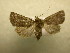  ( - 10-CRBS-593)  @13 [ ] No Rights Reserved (2010) Unspecified Research Collection of J. B. Sullivan
