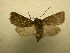  ( - 10-CRBS-594)  @13 [ ] No Rights Reserved (2010) Unspecified Research Collection of J. B. Sullivan