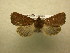  ( - 10-CRBS-595)  @12 [ ] No Rights Reserved (2010) Unspecified Research Collection of J. B. Sullivan