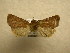  ( - 10-CRBS-596)  @13 [ ] No Rights Reserved (2010) Unspecified Research Collection of J. B. Sullivan