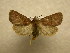  ( - 10-CRBS-597)  @13 [ ] No Rights Reserved (2010) Unspecified Research Collection of J. B. Sullivan
