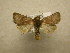  ( - 10-CRBS-598)  @13 [ ] No Rights Reserved (2010) Unspecified Research Collection of J. B. Sullivan