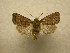  ( - 10-CRBS-599)  @13 [ ] No Rights Reserved (2010) Unspecified Research Collection of J. B. Sullivan