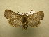  ( - 10-CRBS-604)  @14 [ ] No Rights Reserved (2010) Unspecified Research Collection of J. B. Sullivan