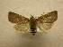  ( - 10-CRBS-607)  @14 [ ] No Rights Reserved (2010) Unspecified Research Collection of J. B. Sullivan
