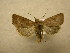  ( - 10-CRBS-610)  @11 [ ] No Rights Reserved (2010) Unspecified Research Collection of J. B. Sullivan
