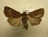  ( - 10-CRBS-611)  @11 [ ] No Rights Reserved (2010) Unspecified Research Collection of J. B. Sullivan