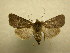  ( - 10-CRBS-612)  @13 [ ] No Rights Reserved (2010) Unspecified Research Collection of J. B. Sullivan