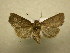  ( - 10-CRBS-613)  @14 [ ] No Rights Reserved (2010) Unspecified Research Collection of J. B. Sullivan