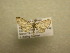  ( - 10-CRBS-641)  @13 [ ] No Rights Reserved (2010) Unspecified Research Collection of J. B. Sullivan