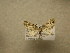  ( - 10-CRBS-650)  @12 [ ] No Rights Reserved (2010) Unspecified Research Collection of J. B. Sullivan